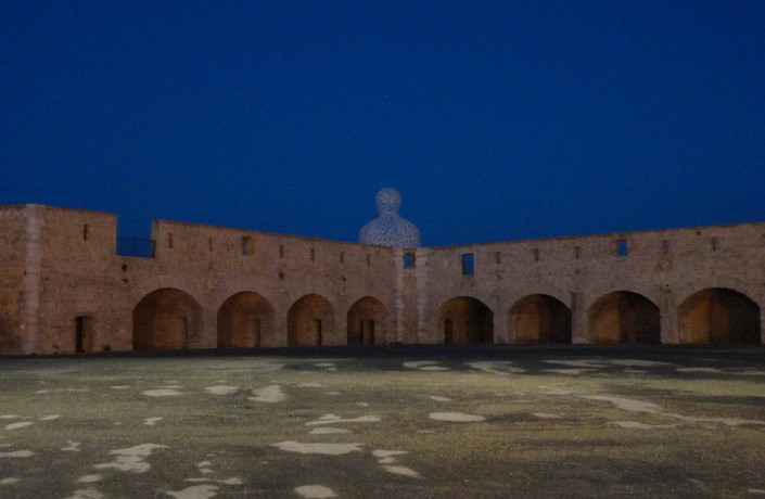 DSC07493 DSC07493